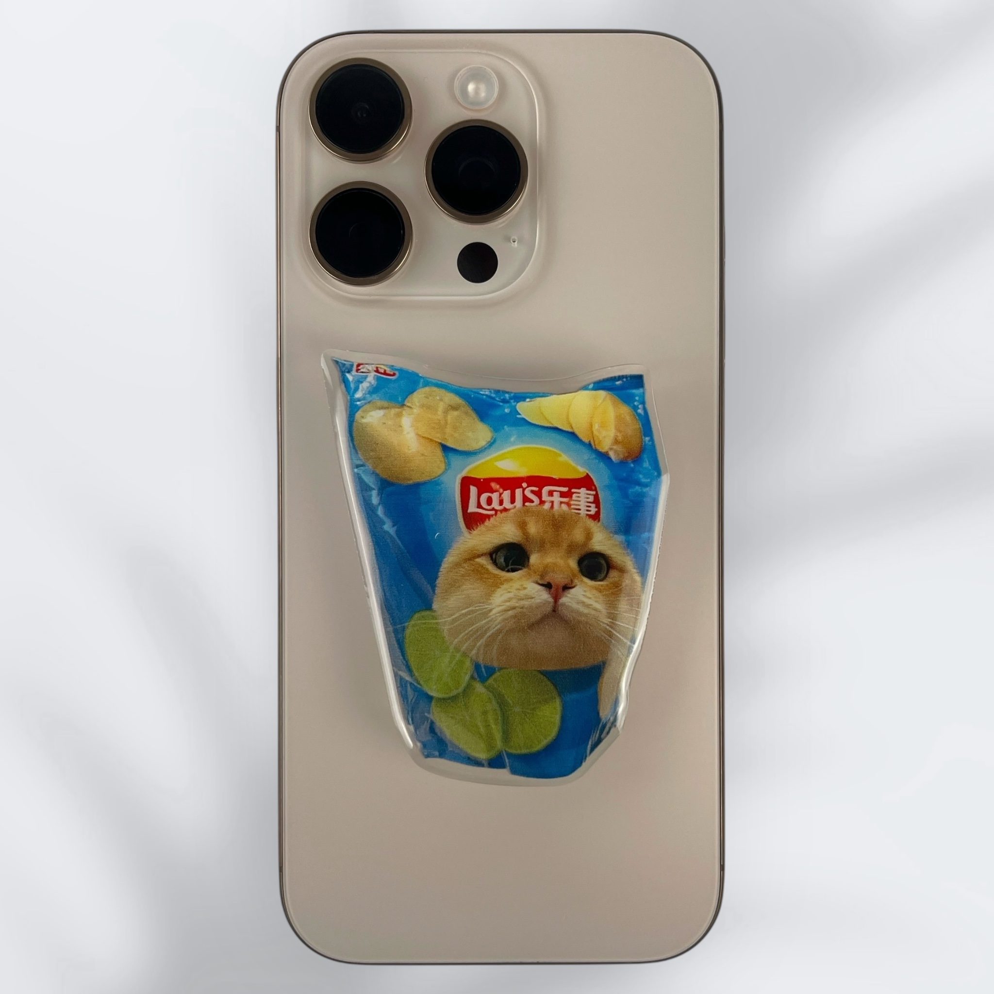 PopSocket "Котик" в чипсах