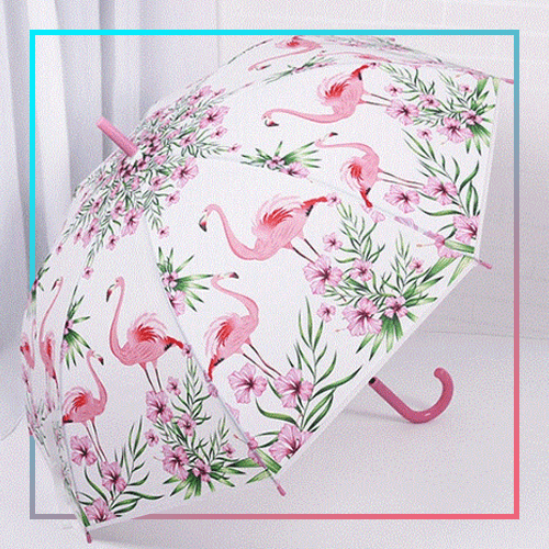 аксс-min.png