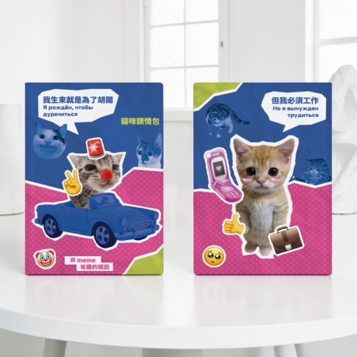 Обложка на паспорт "Meme Cat" STORIZ