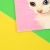 Обложка на паспорт "Cat loading" STORIZ
