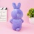 Мягкая игрушка "ThinKing's Rabbit" фиолетовый, 28 см