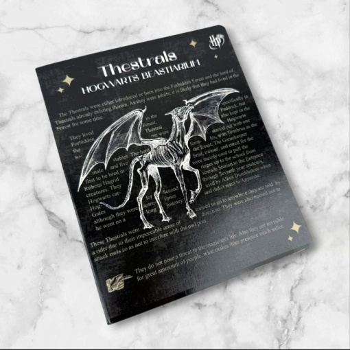Тетрадь "Harry Potter" черный, A5, 48 листов (клетка), в ассортименте, 1шт