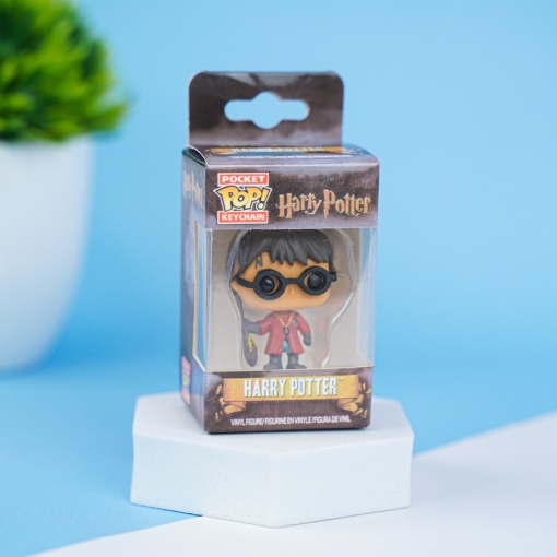 Брелок Funko "Harry Potter" Quidditch