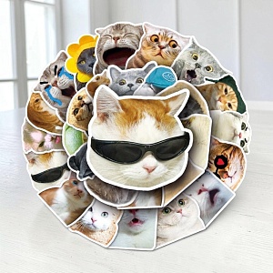 Наклейки для стикер бомбинга "Meme Cats" (50 шт.)
