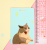 Чехол для карты "Cat" STORIZ