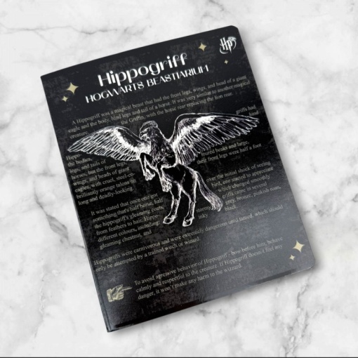 Тетрадь "Harry Potter" черный, A5, 48 листов (клетка), в ассортименте, 1шт