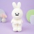 Мягкая игрушка "ThinKing's Rabbit" белый, 28 см