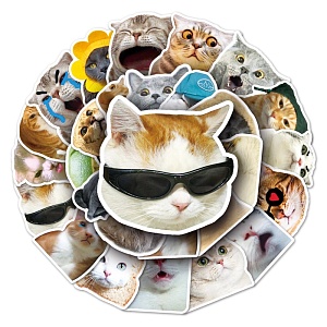 Наклейки для стикер бомбинга "Meme Cats" (50 шт.)