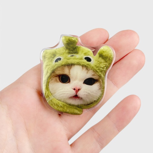 PopSocket "Котик" в зеленой шапочке