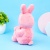 Мягкая игрушка "ThinKing's Rabbit" розовый, 28 см