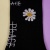 Носки "Chamomile" №5, 37-39 р.