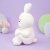 Мягкая игрушка "ThinKing's Rabbit" белый, 28 см